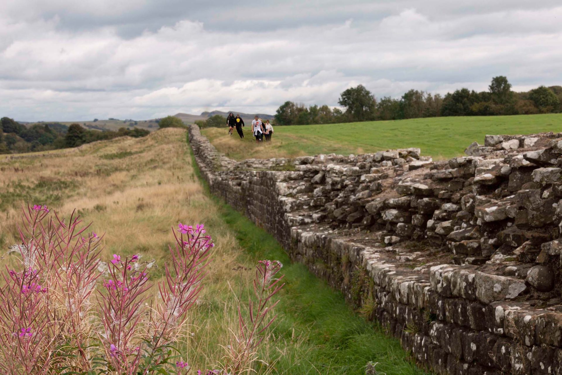 A Gentle Walk